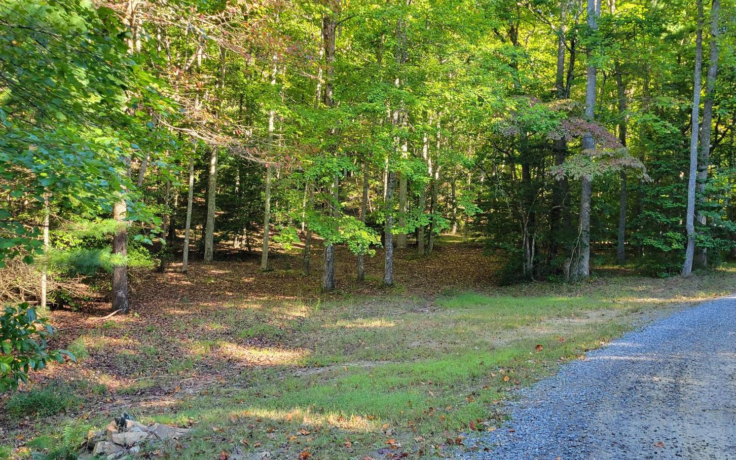 0 John Laurel Drive Murphy, NC 28906 - Photo 2 of 9 Additional View