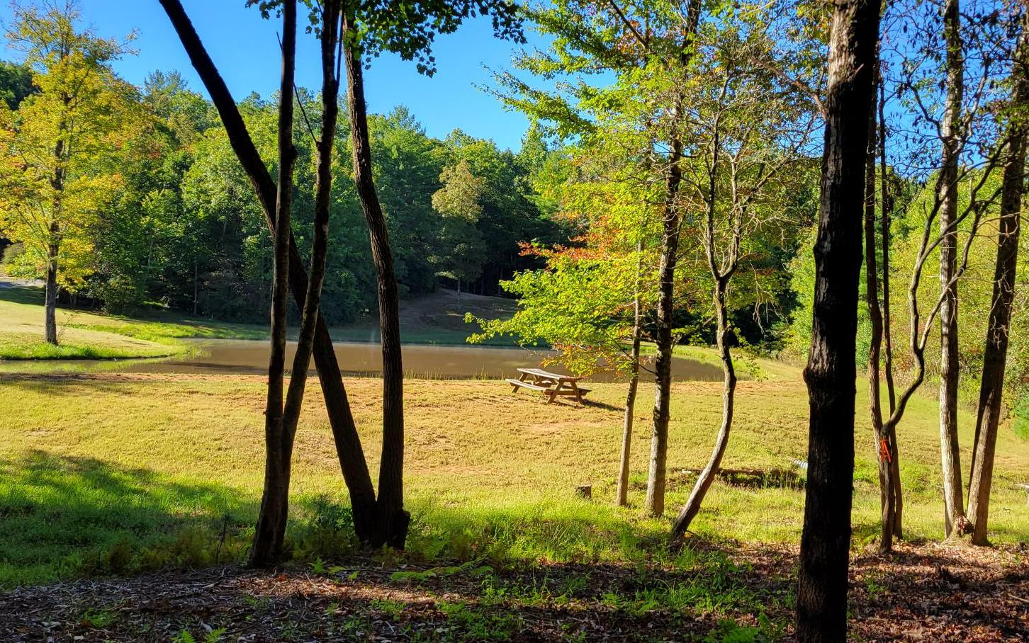 0 John Laurel Drive Murphy, NC 28906 - Photo 4 of 9 Additional View