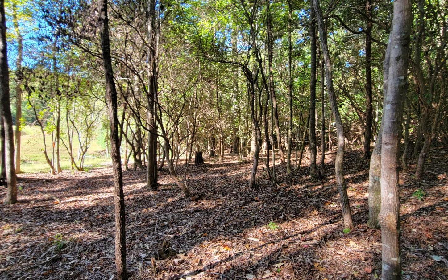 0 John Laurel Drive Murphy, NC 28906 - Photo 5 of 9 Additional View