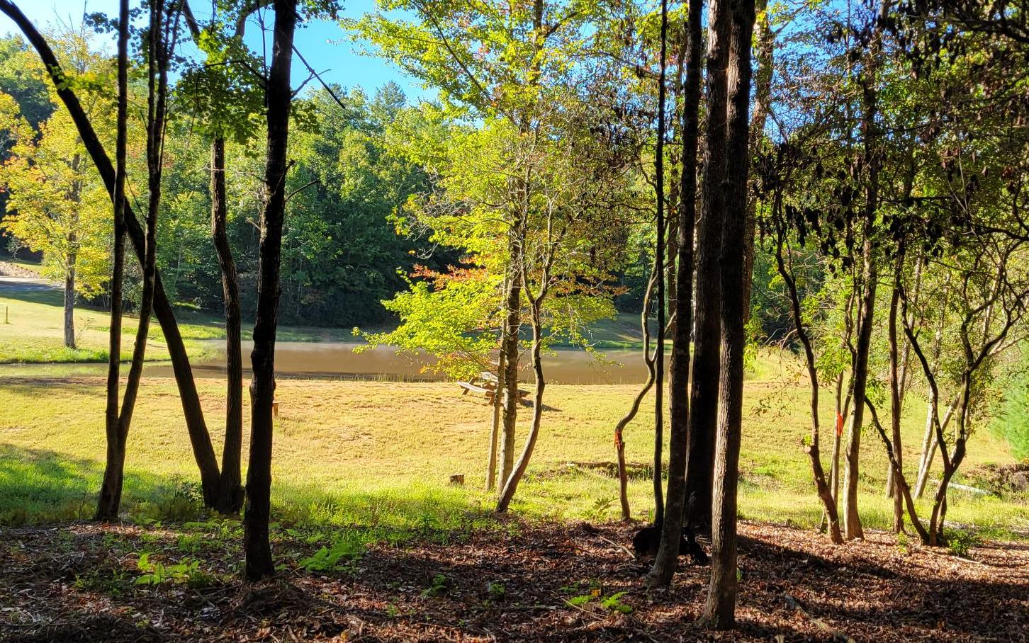 0 John Laurel Drive Murphy, NC 28906 - Photo 6 of 9 Additional View