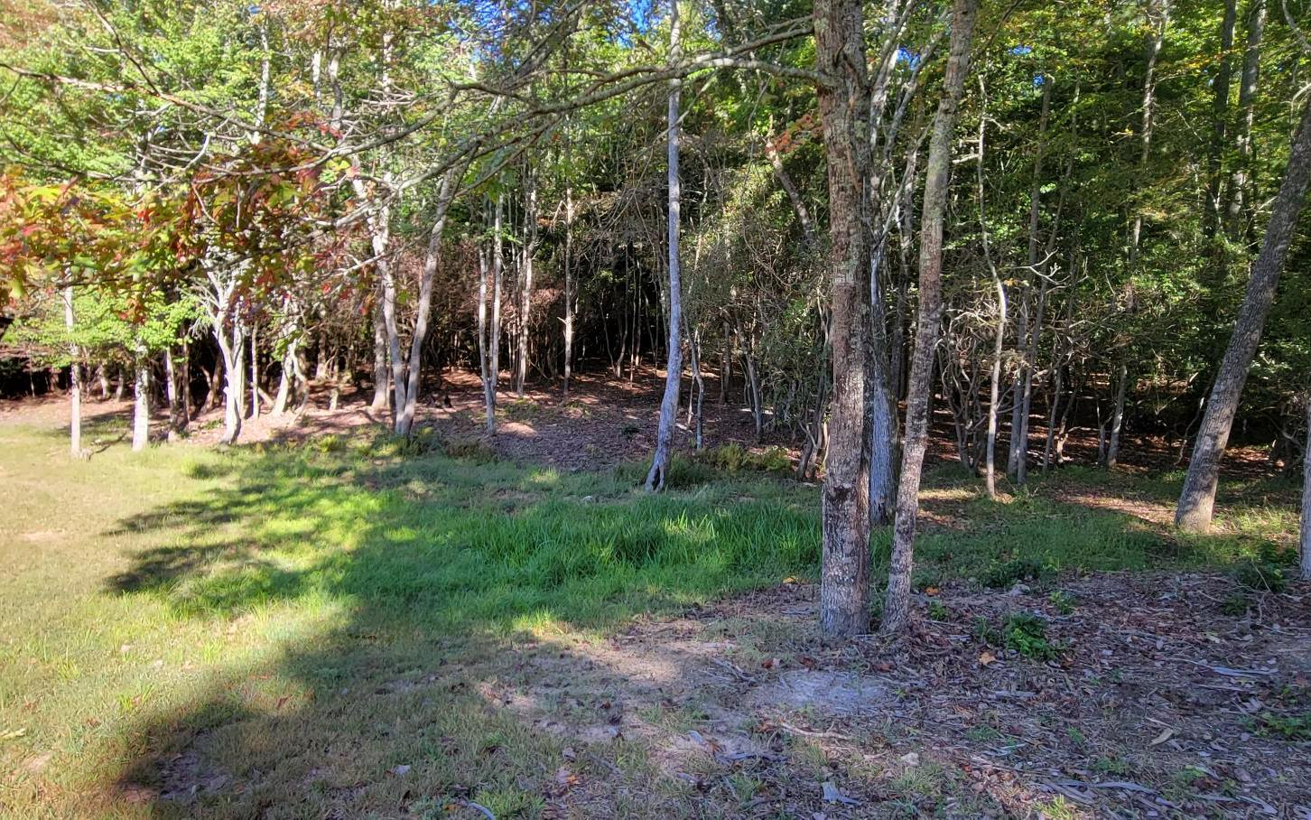 0 John Laurel Drive Murphy, NC 28906 - Photo 7 of 9 Additional View