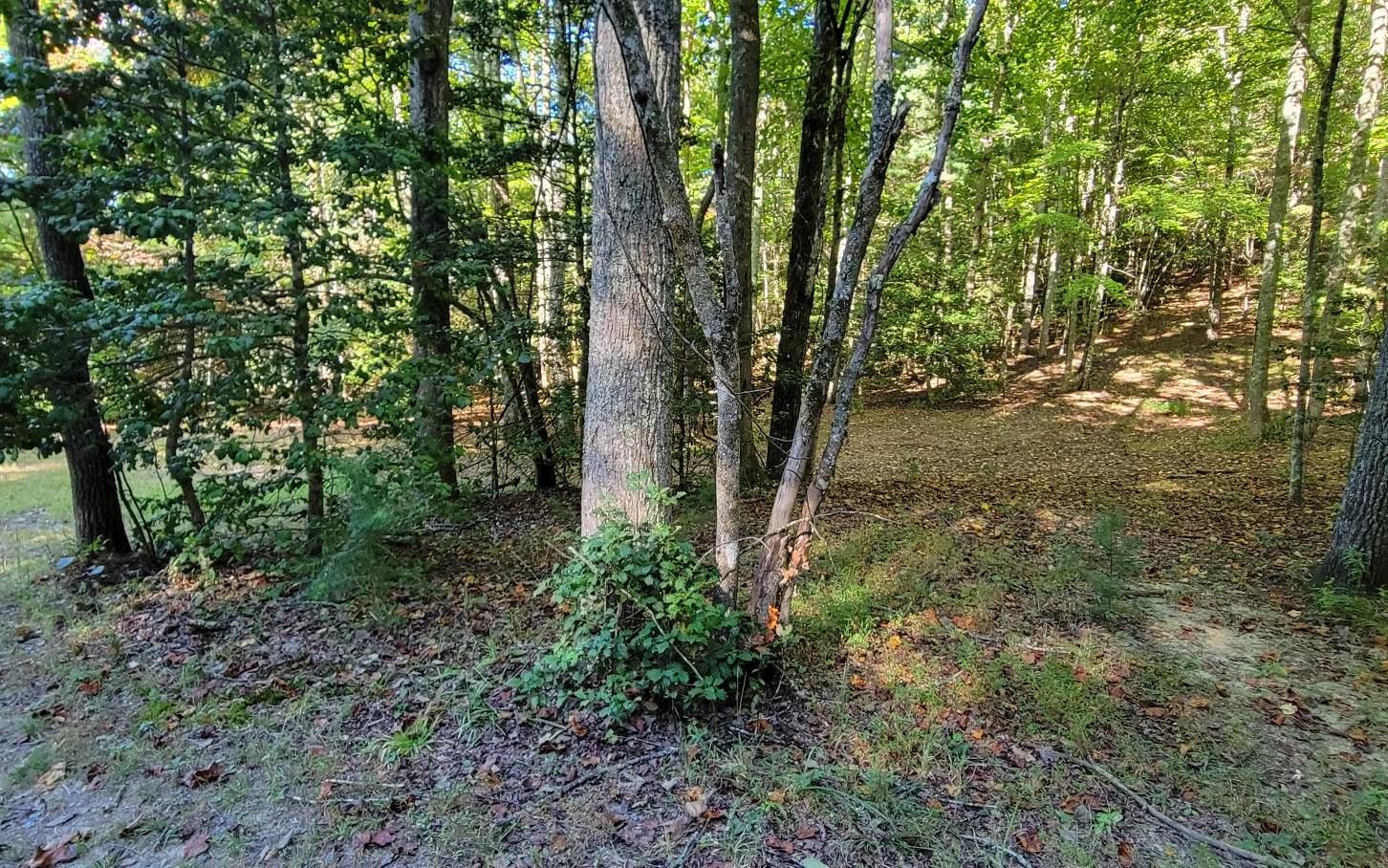 0 John Laurel Drive Murphy, NC 28906 - Photo 8 of 9 Additional View