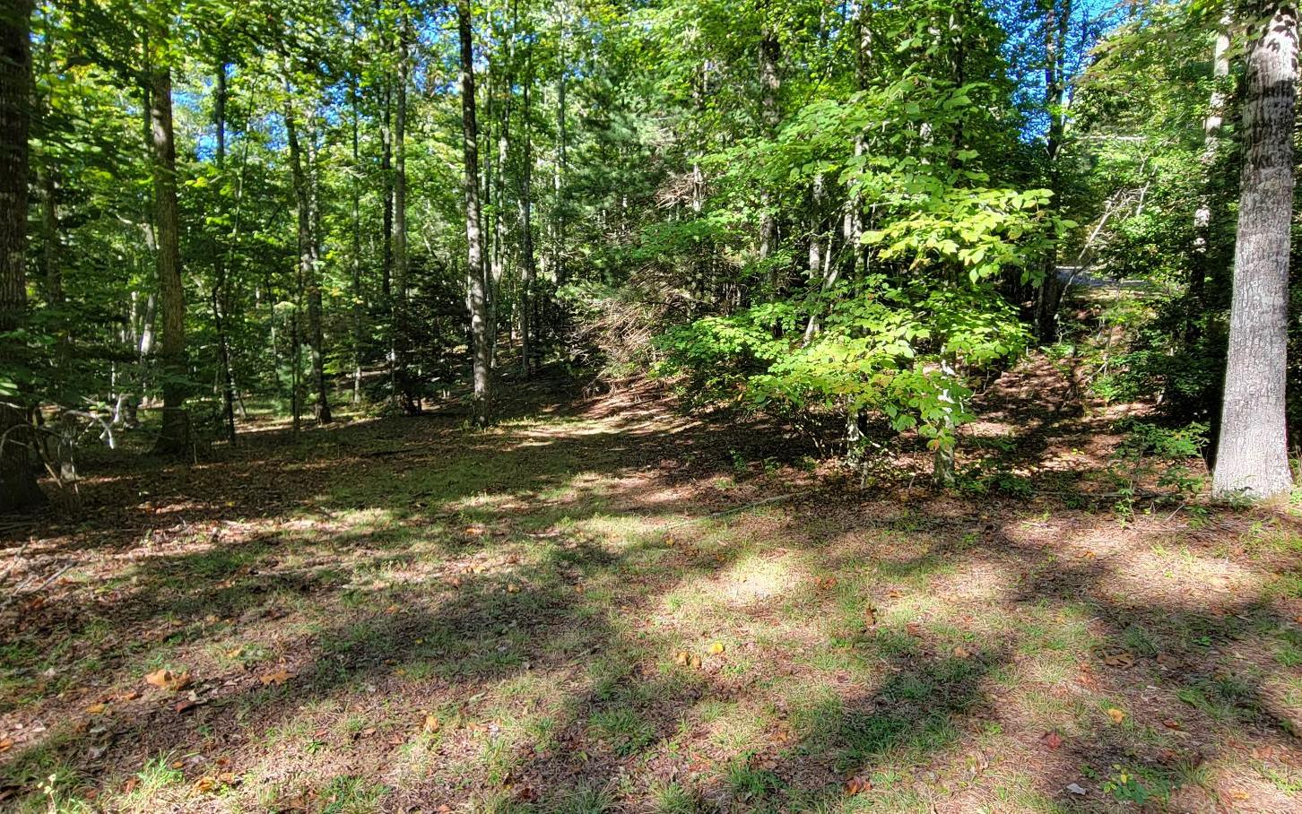 0 John Laurel Drive Murphy, NC 28906 - Photo 9 of 9 Additional View