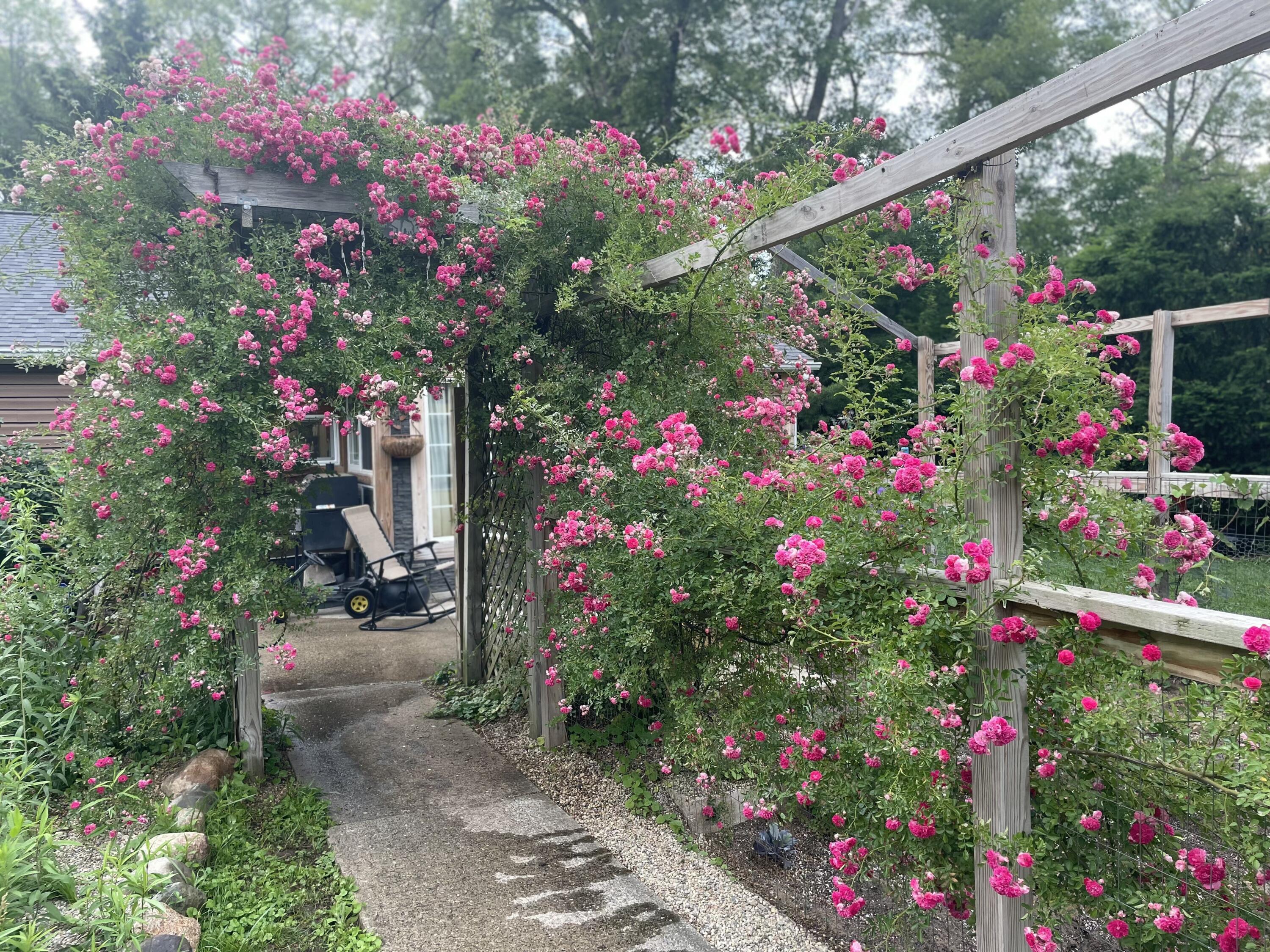 125 West Ashland Road Twin Lake, MI 49457 - Photo 56 of 61 IMG_20260127_170221