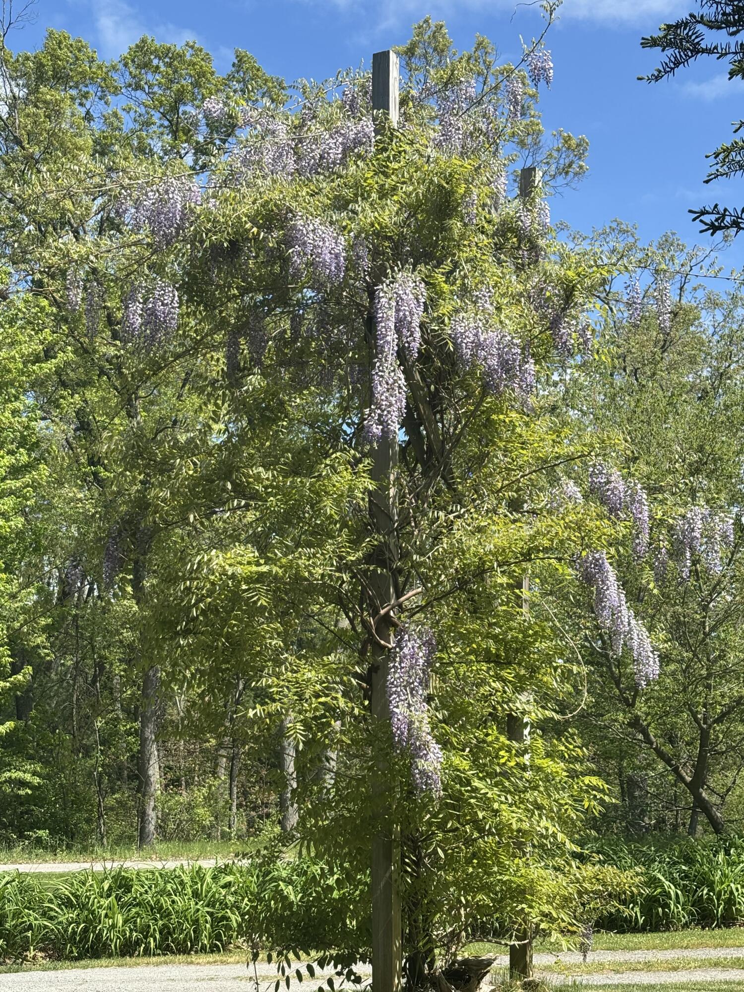 125 West Ashland Road Twin Lake, MI 49457 - Photo 57 of 61 IMG_20260127_170219