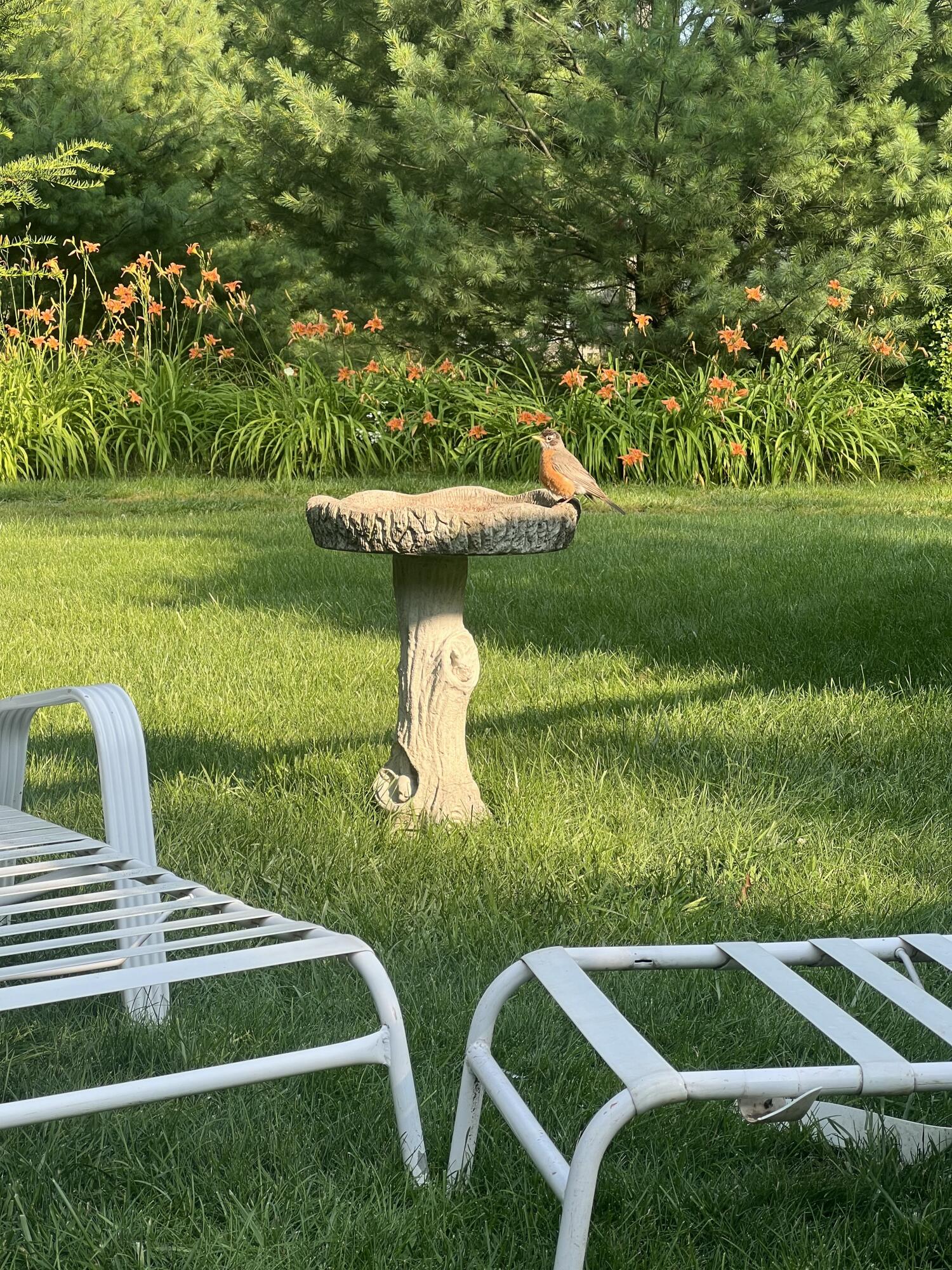 125 West Ashland Road Twin Lake, MI 49457 - Photo 60 of 61 IMG_20260127_170208