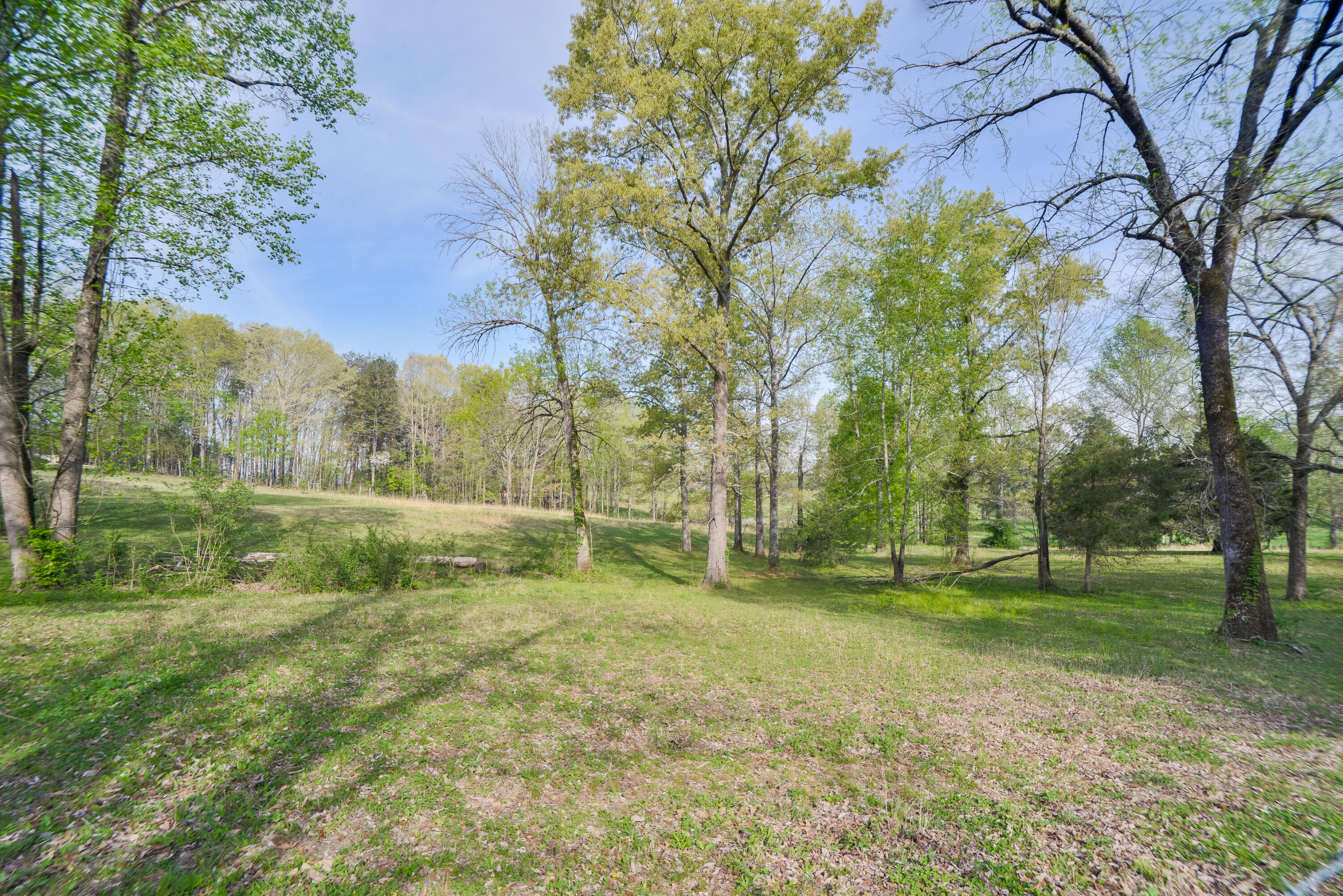 562 Shields Road Crandall, GA 30711 - Photo 11 of 84 562ShieldsRd-10