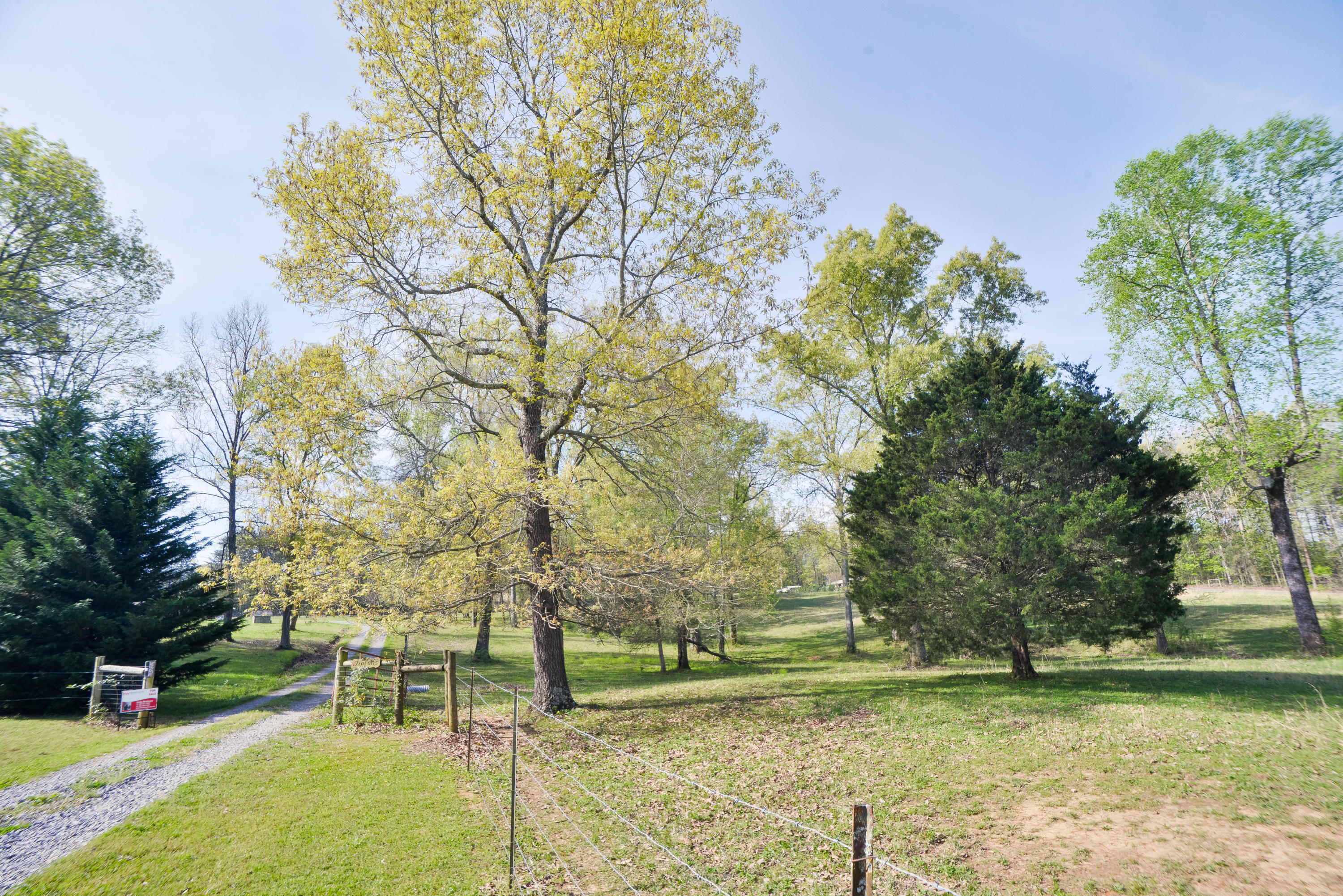 562 Shields Road Crandall, GA 30711 - Photo 3 of 84 562ShieldsRd-2