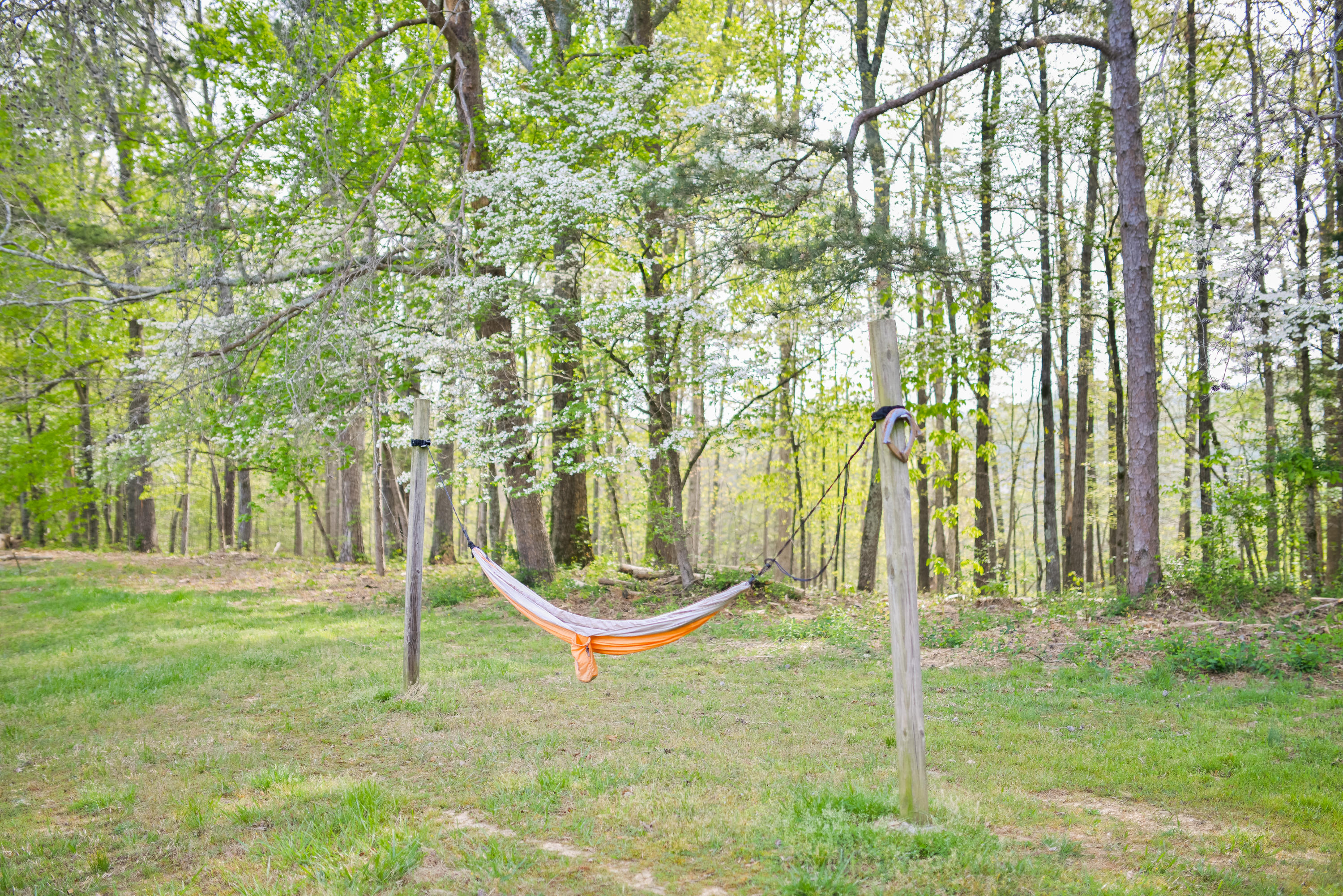 562 Shields Road Crandall, GA 30711 - Photo 75 of 84 562ShieldsRd-75