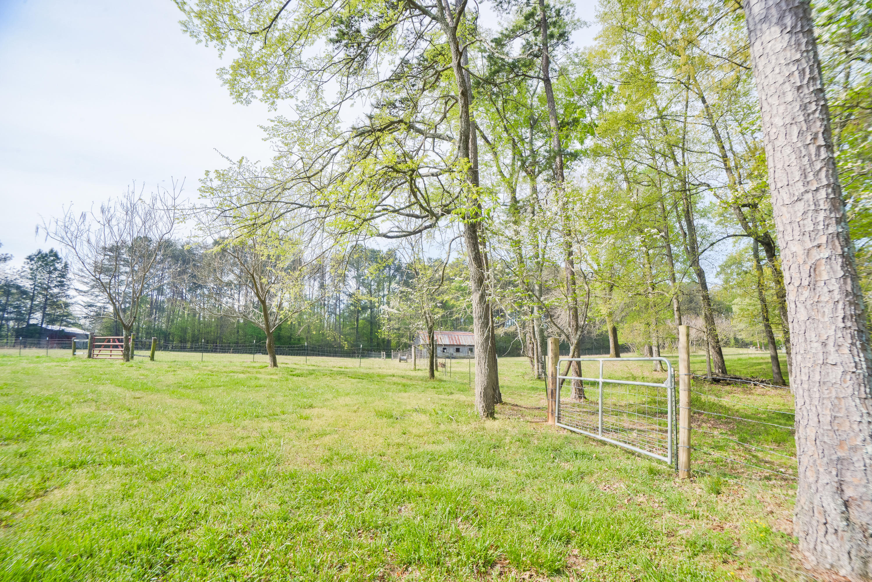 562 Shields Road Crandall, GA 30711 - Photo 80 of 84 562ShieldsRd-80