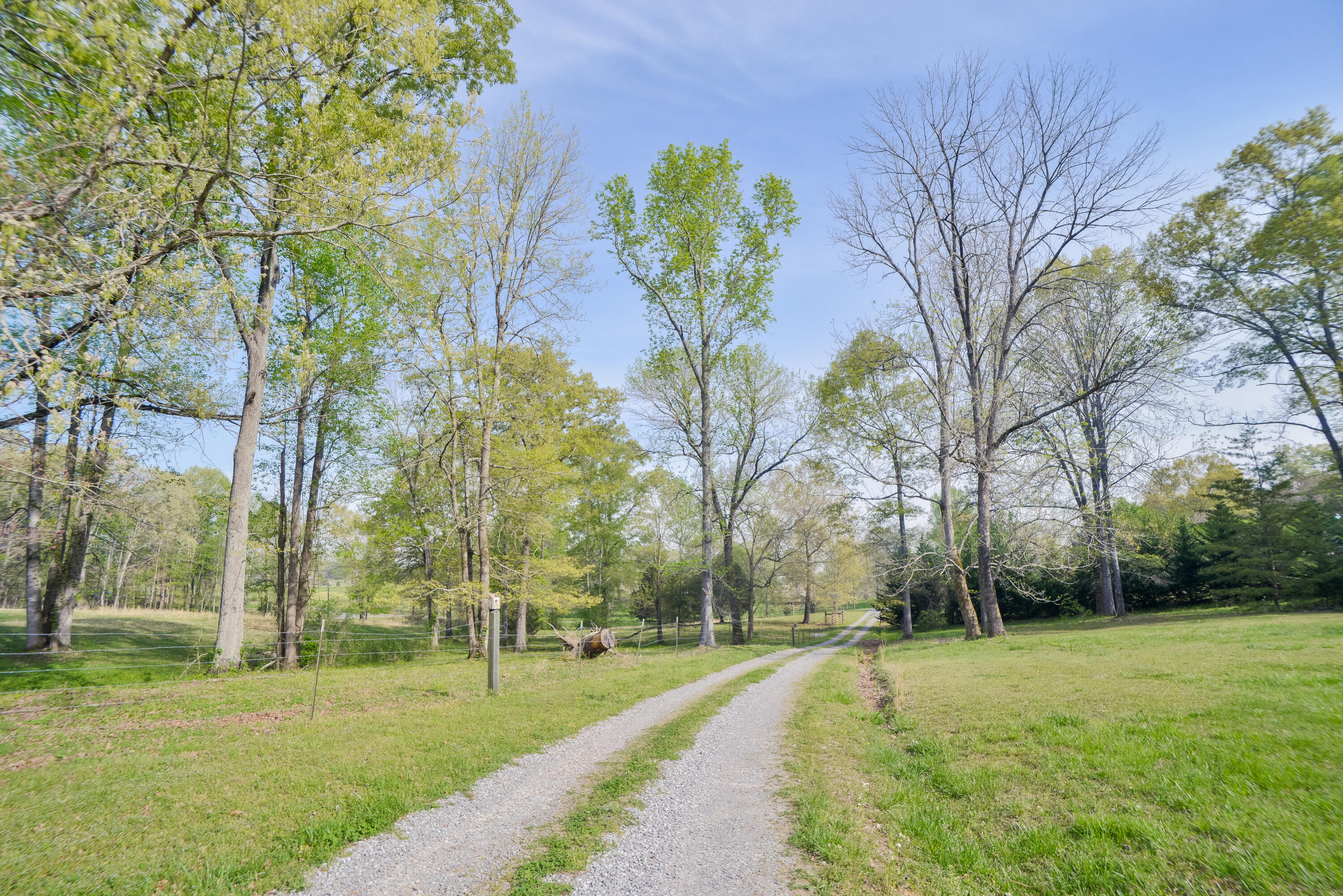 562 Shields Road Crandall, GA 30711 - Photo 9 of 84 562ShieldsRd-8