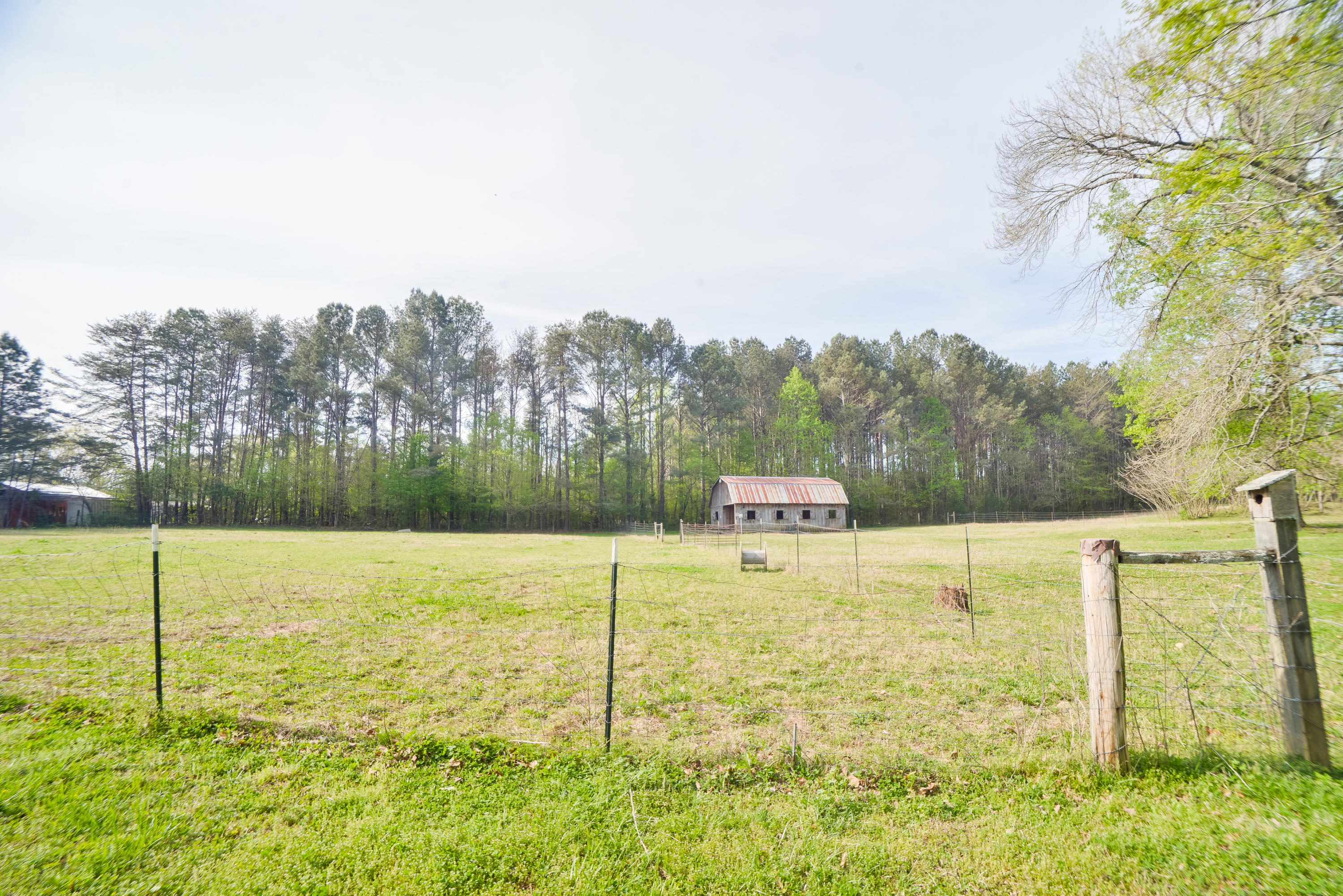 562 Shields Road Crandall, GA 30711 - Photo 81 of 84 562ShieldsRd-81