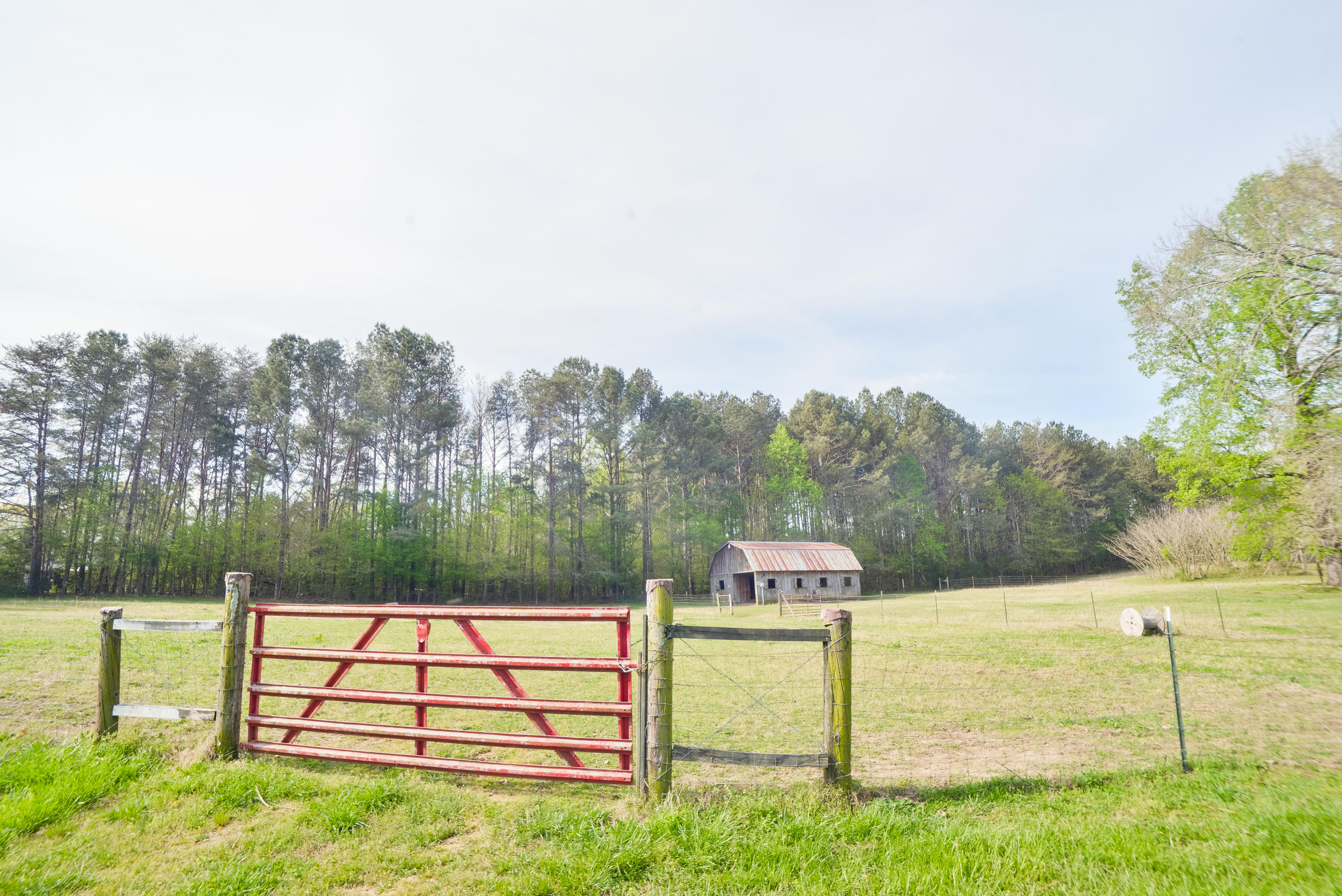 562 Shields Road Crandall, GA 30711 - Photo 82 of 84 562ShieldsRd-82