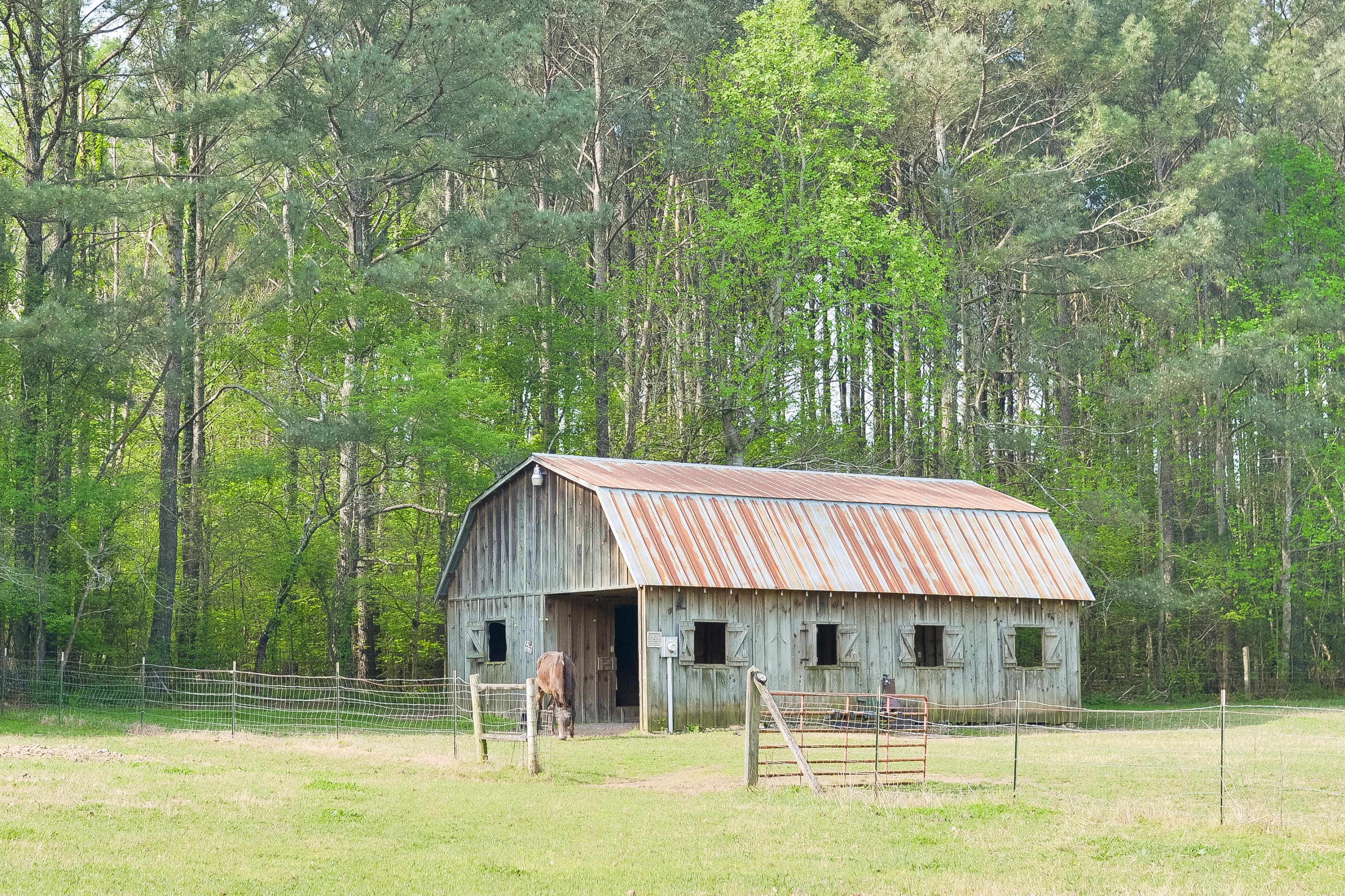 562 Shields Road Crandall, GA 30711 - Photo 83 of 84 562ShieldsRd-83