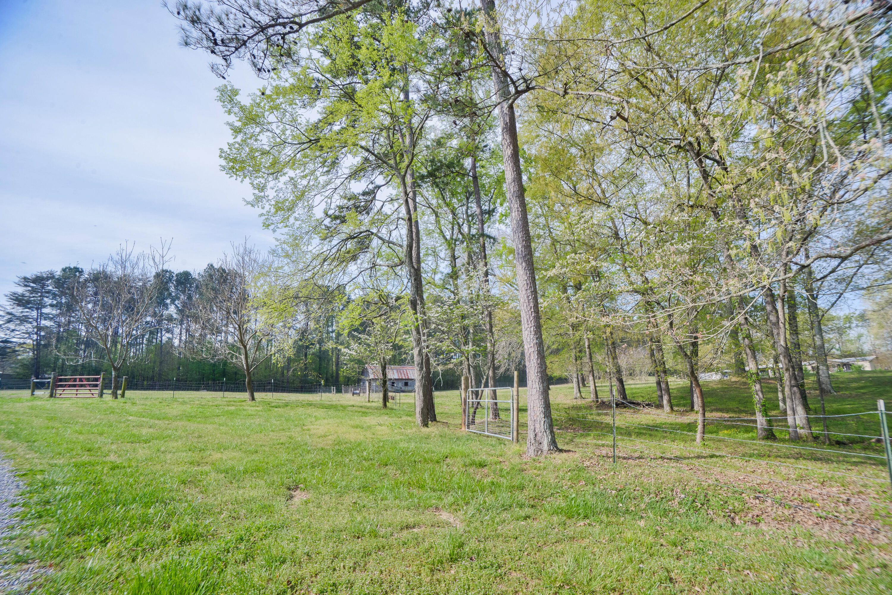 562 Shields Road Crandall, GA 30711 - Photo 10 of 84 562ShieldsRd-9