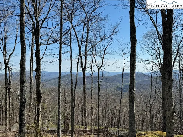 $379,000 | Elk Creek Mountain Parkway, Todd, NC 28684