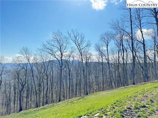 $379,000 | Elk Creek Mountain Parkway, Todd, NC 28684