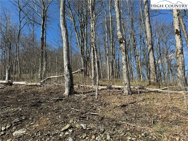 $379,000 | Elk Creek Mountain Parkway, Todd, NC 28684