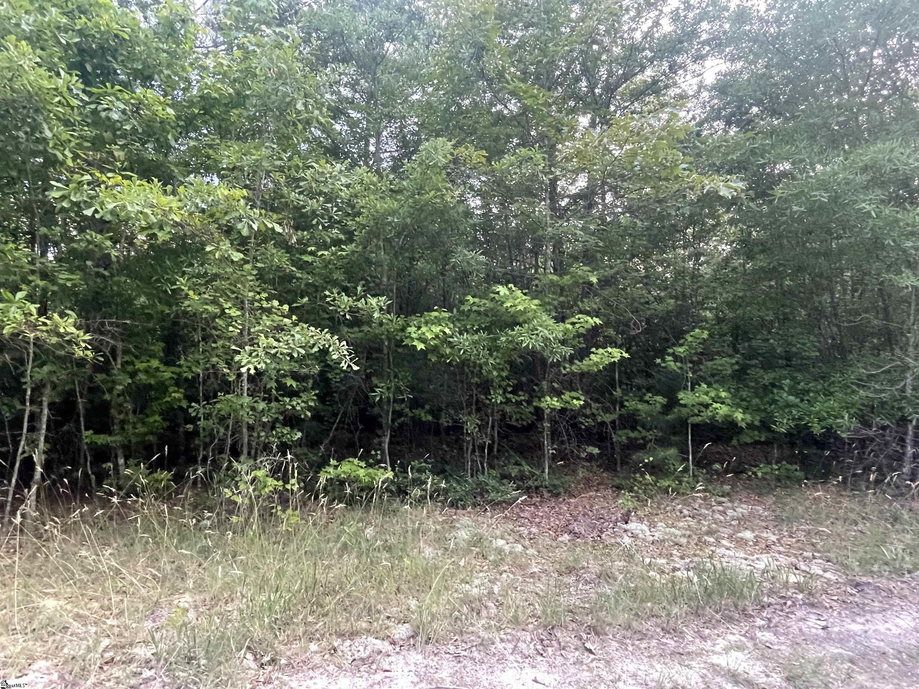 0 Connor Road, Unit LOT 10 Hodges, SC 29653 - Photo 1 of 1