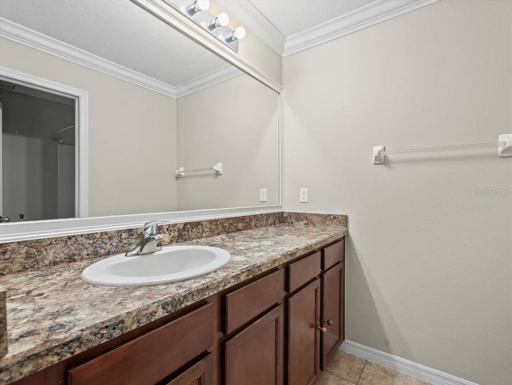13366 Barkingside Place Spring Hill, FL 34609 - Photo 36 of 41 a bathroom with a granite countertop sink and a mirror