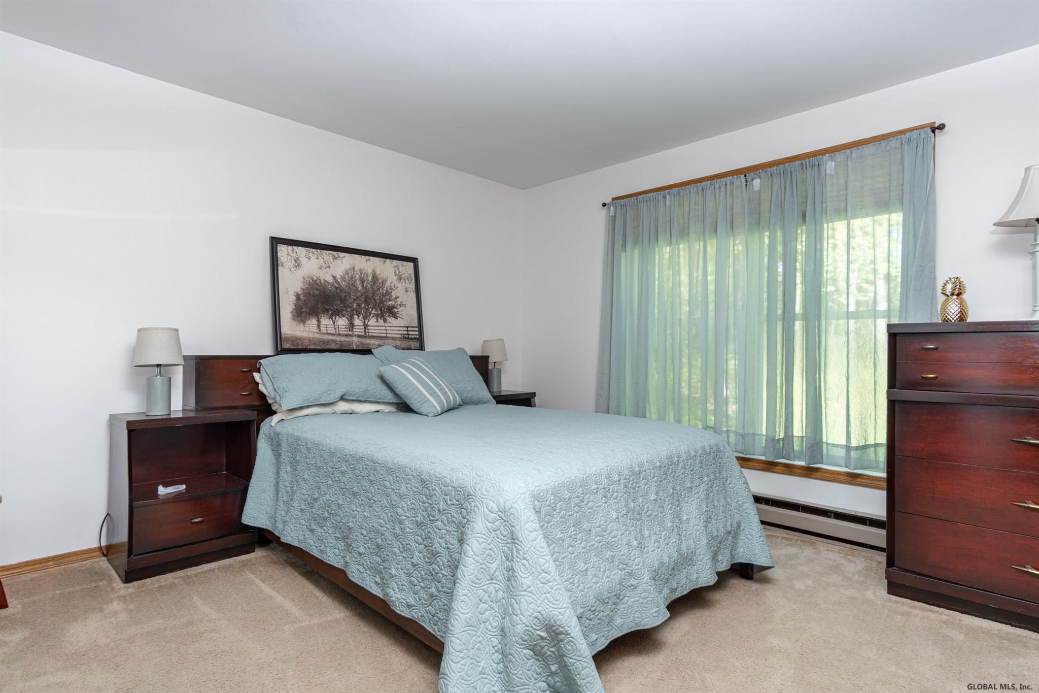14 Collamer Road Malta, NY 12020 - Photo 19 of 32 Photo 20