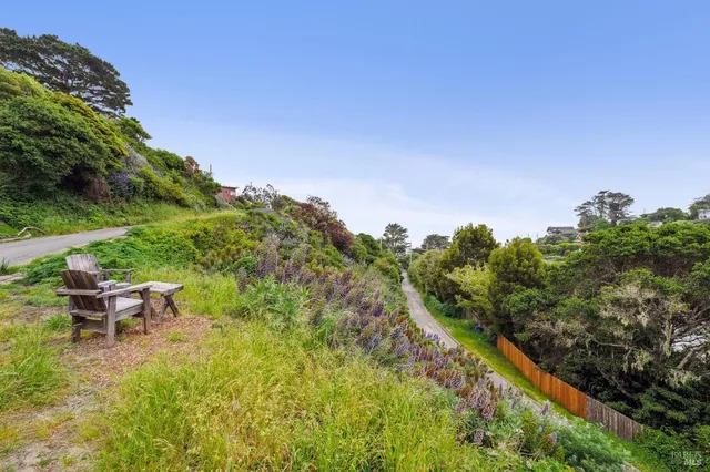 a view of a garden with lawn chairs under an umbrella