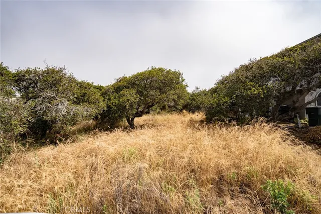 a view of a snow covered with snow in front of house