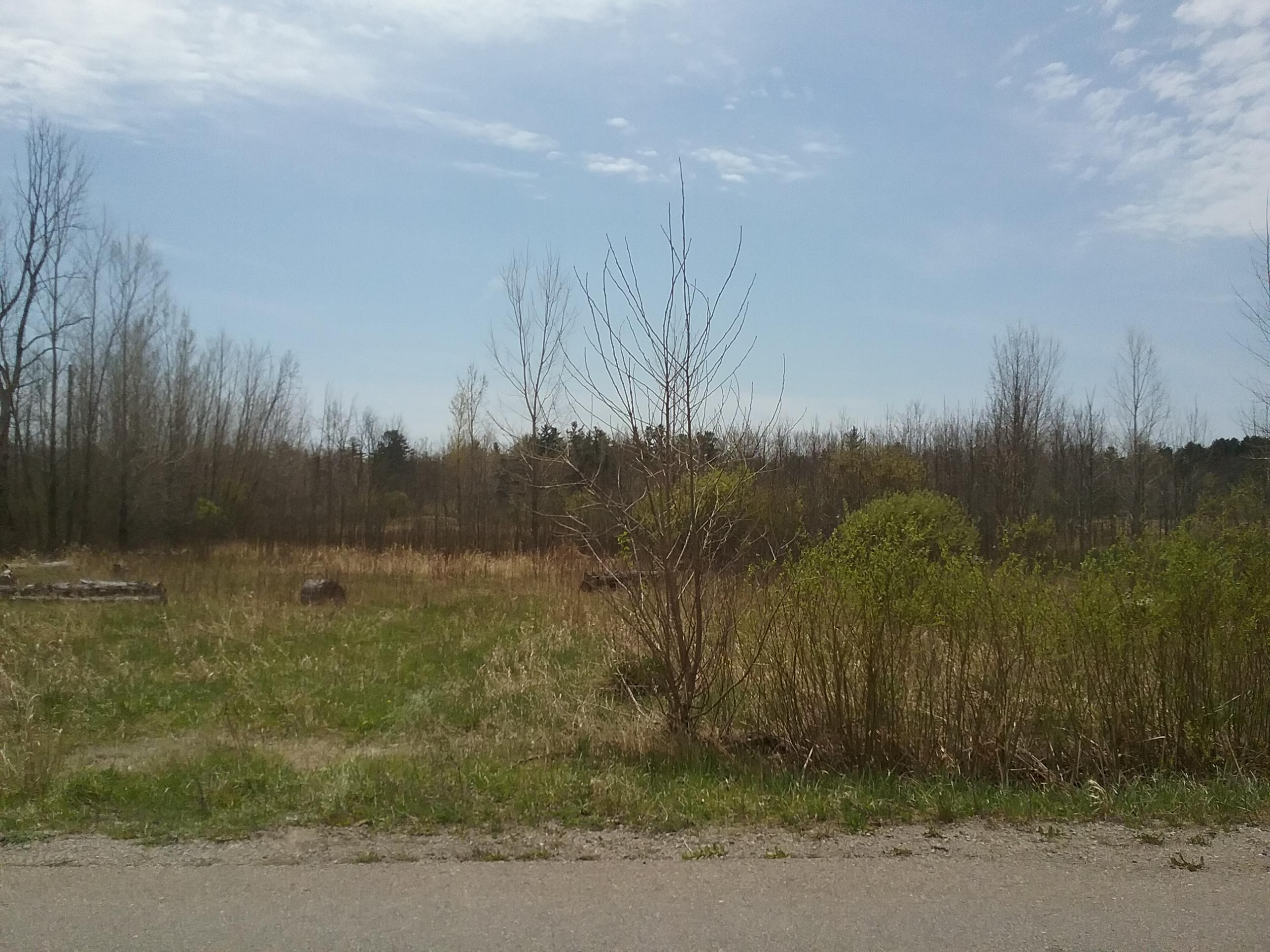 Sagatoo Road Standish, MI 48658 - Photo 9 of 10 Gallery Image 9