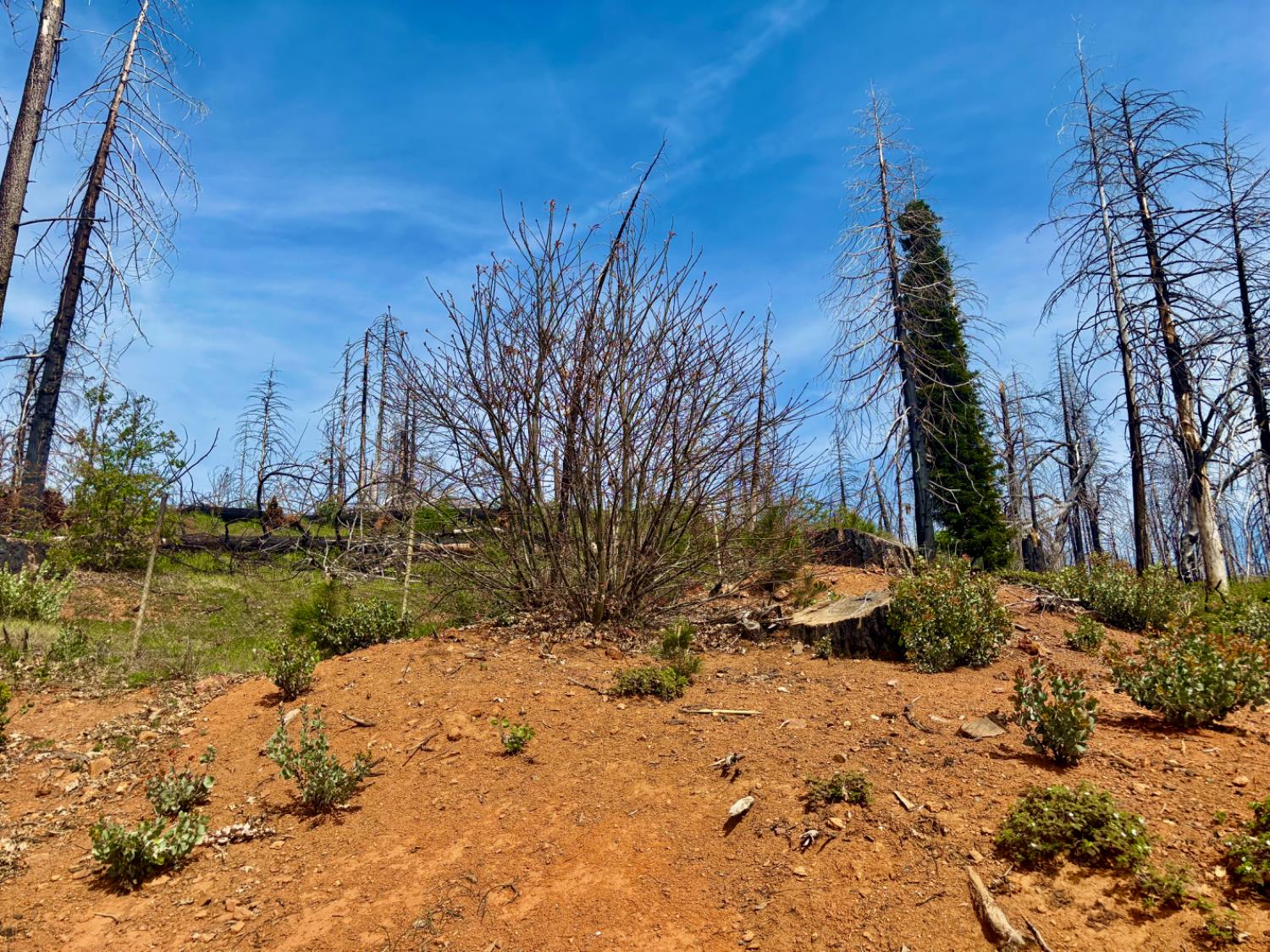 4664 String Canyon Road Somerset, CA 95684 - Photo 4 of 32 a view of lake view with trees