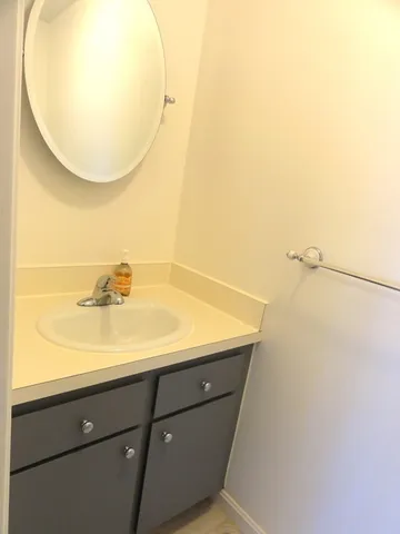 a bathroom with a sink and a mirror