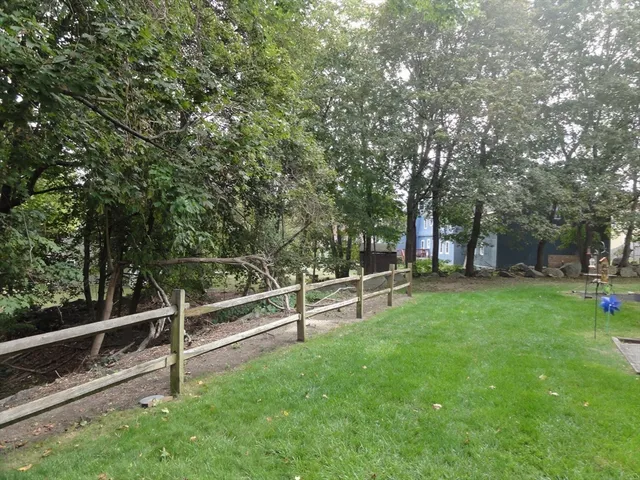 a view of a forest filled with trees