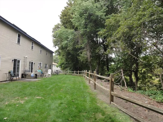 a view of a forest filled with trees