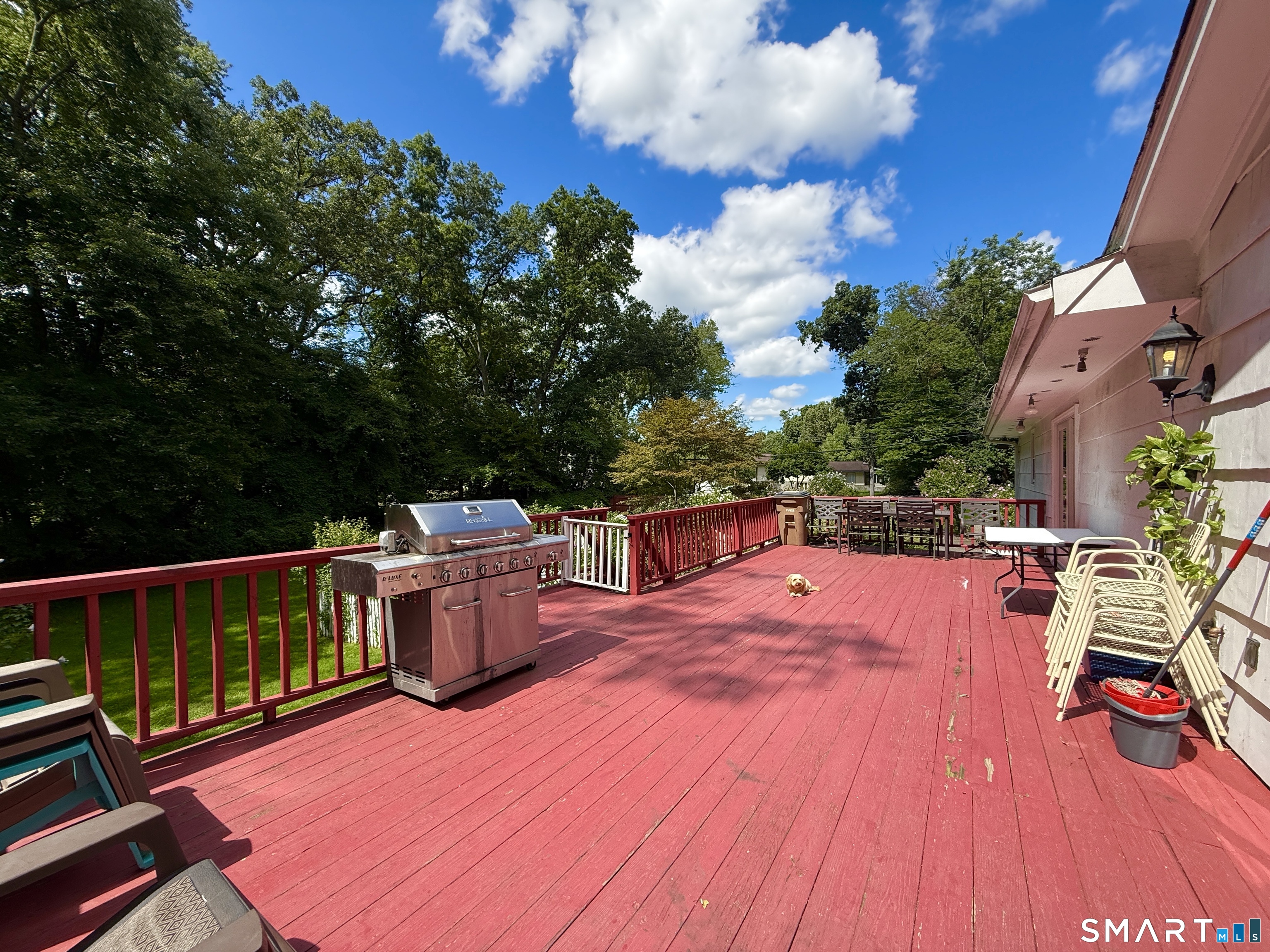 11 Joan Road Stamford, CT 06905 - Photo 26 of 30 Gallery Image 26