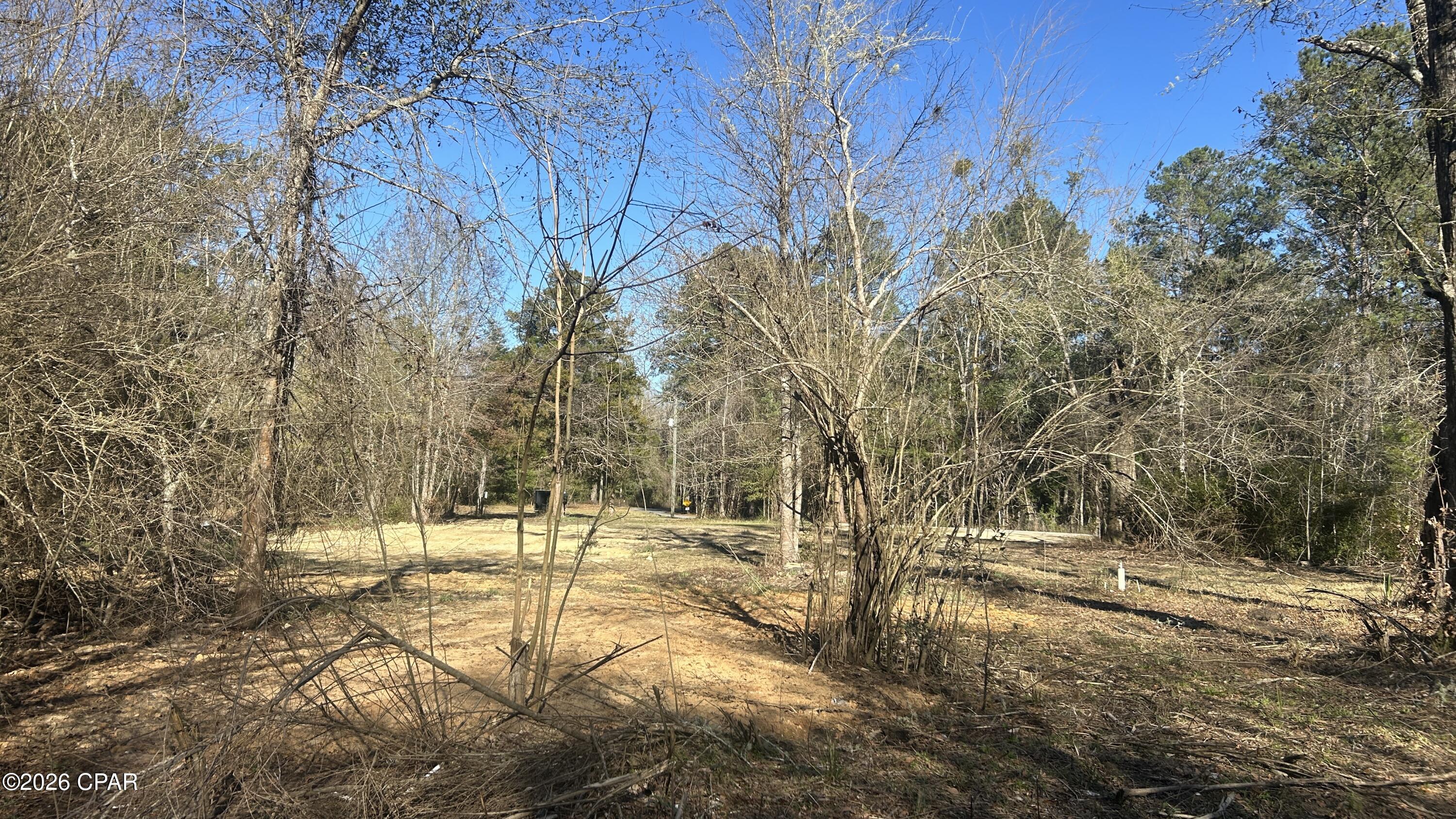 660 White Creek Road Ponce de Leon, FL 32455 - Photo 8 of 40