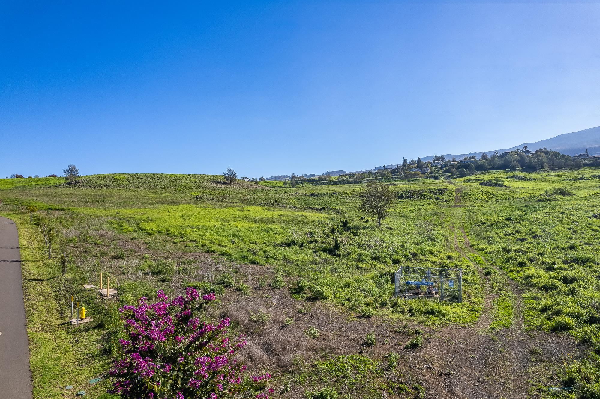 151 Kula Io Road Kula, HI 96790 - Photo 27 of 30 Gallery Image 27