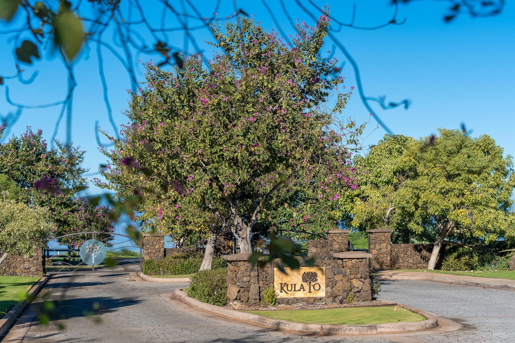 151 Kula Io Road Kula, HI 96790 - Photo 7 of 30 Gallery Image 7
