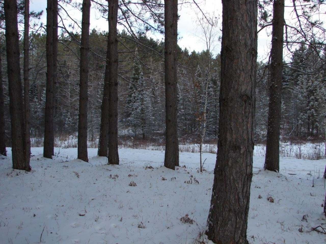 2524 Cth G Rhinelander, WI 54501 - Photo 34 of 42 Gallery Image 34