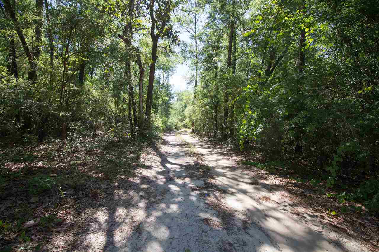 1987 Collins Landing Road Tallahassee, FL 32310 - Photo 1 of 30 Gallery Image 1