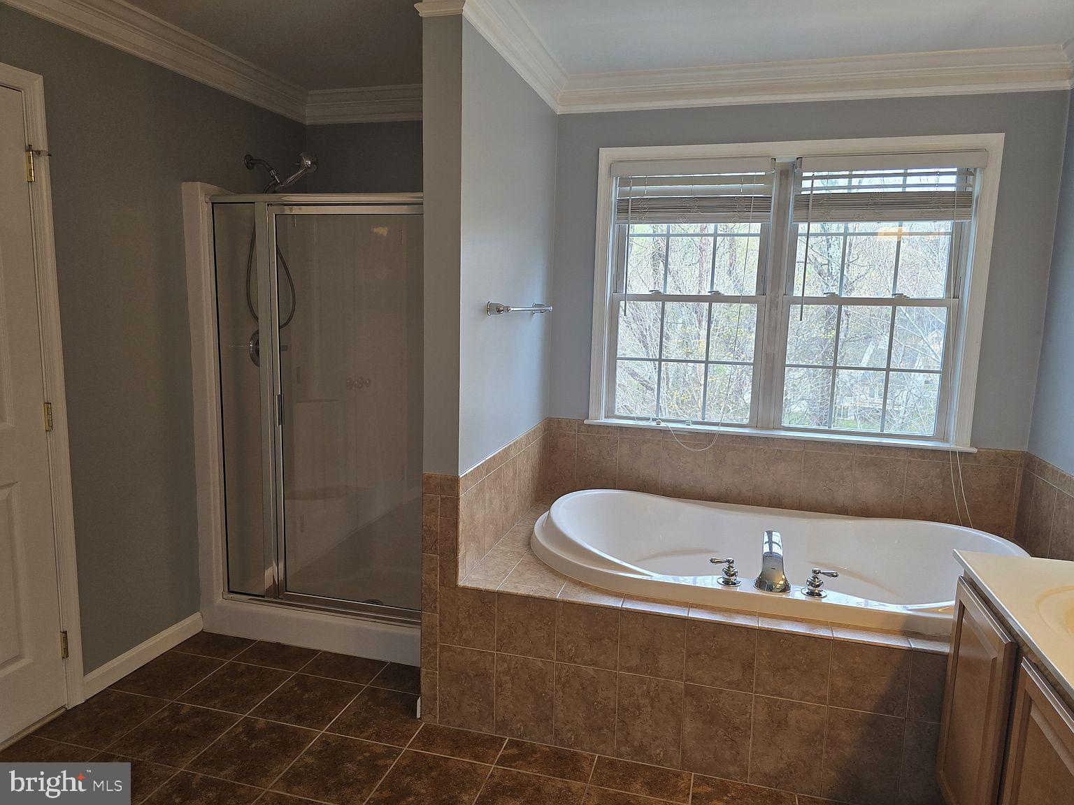 3917 Edith Court Ellicott City, MD 21043 - Photo 10 of 27 a bathroom with a tub and a sink