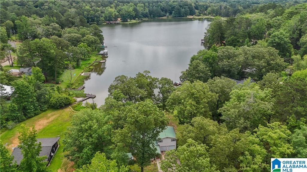 352 Harkins Lake Road Fayette, AL 35555 - Photo 37 of 41