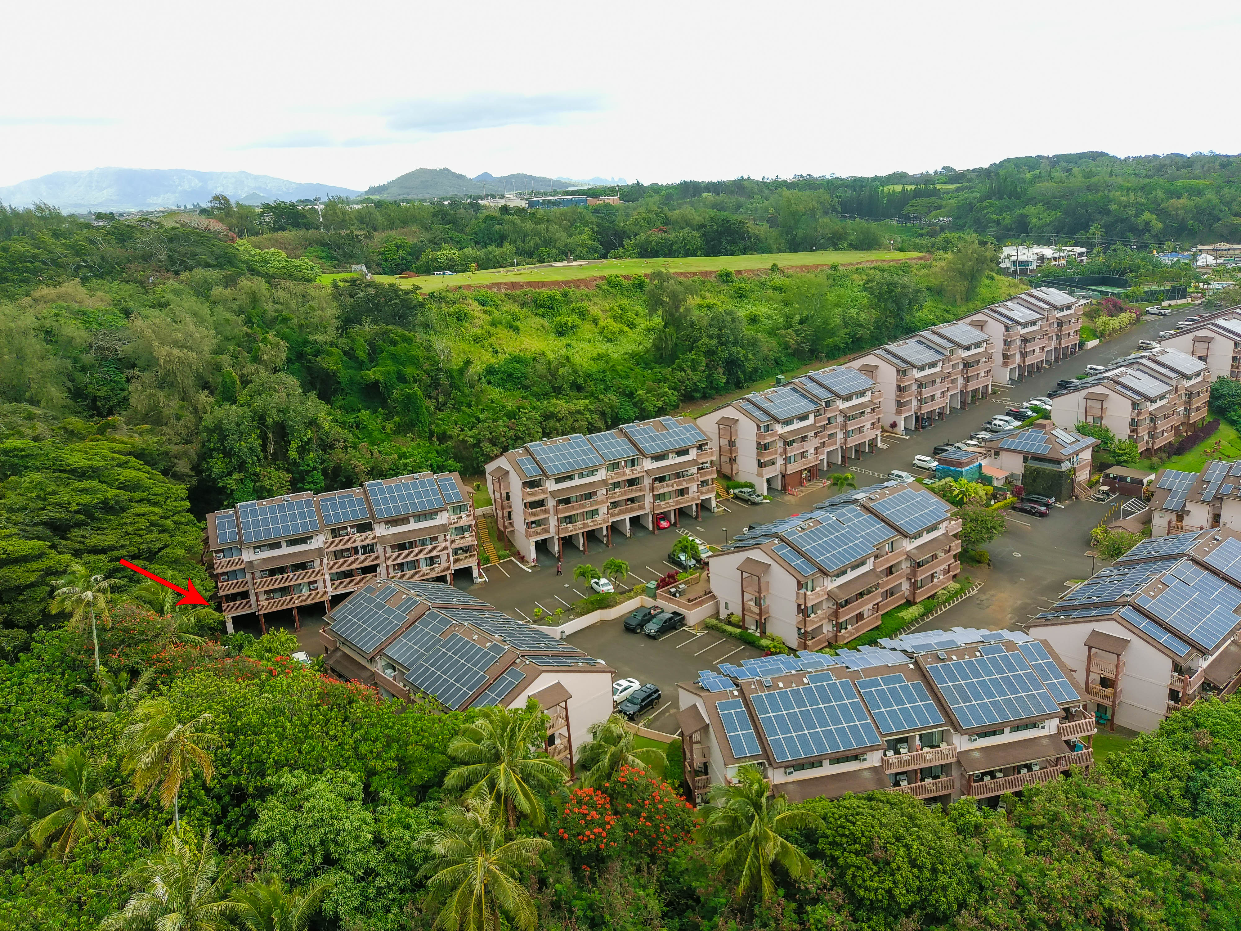 3411 Wilcox Road, Unit FII65 Lihue, HI 96766 - Photo 17 of 17 Gallery Image 17