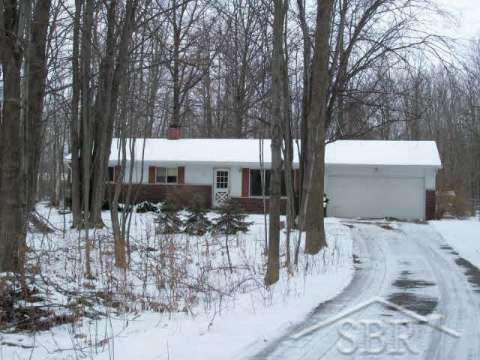4777 South Iva Road Merrill, MI 48637 - Photo 1 of 5 20064522.JPG