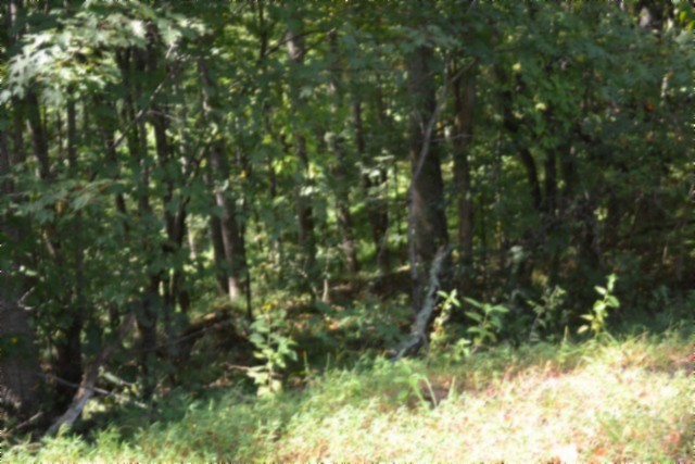 2121 Riley Creek Road Whitleyville, TN 38588 - Photo 13 of 21 Gallery Image 13