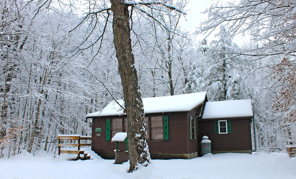 4240 Lake View Road Forestport, NY 13338 - Photo 12 of 15 Gallery Image 12