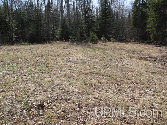 22405 Webb Road Grand Marais, MI 49839 - Photo 28 of 32 Gallery Image 28