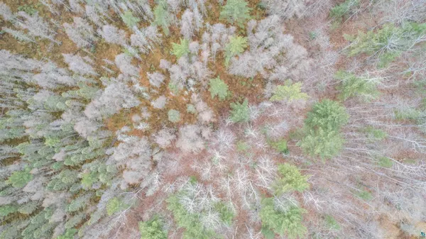 $45,000 | 7173 South Dougs Creek Lake, Lake Nebagamon, WI 54849