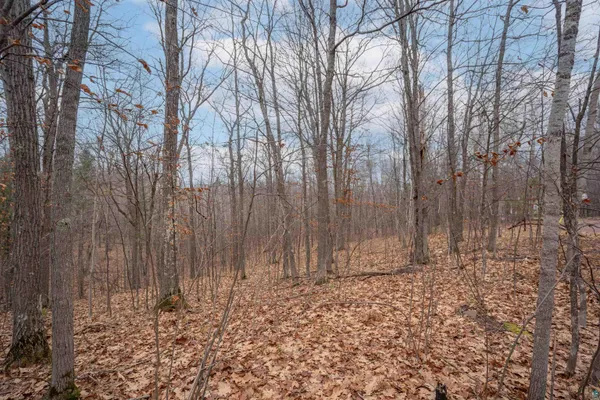 $45,000 | 7173 South Dougs Creek Lake, Lake Nebagamon, WI 54849