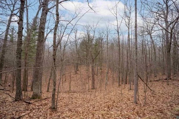 $45,000 | 7173 South Dougs Creek Lake, Lake Nebagamon, WI 54849