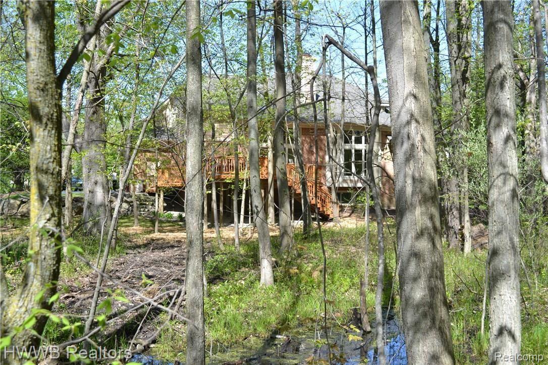 Back View