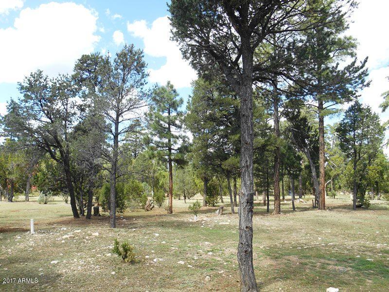 2088 Ranger Road Overgaard, AZ 85933 - Photo 14 of 35 DSCN4936